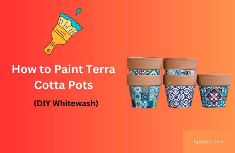 How to Paint Terra Cotta Pots (DIY Whitewash)